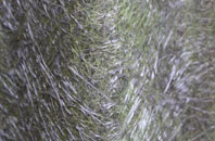 Croy fibreglass roof work